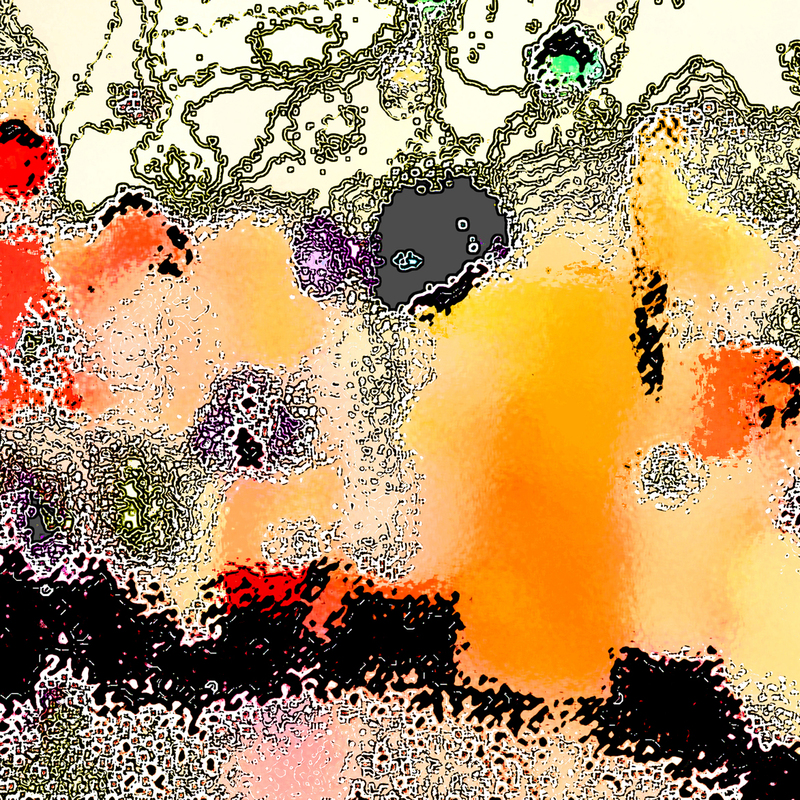 The Enchanted Forest